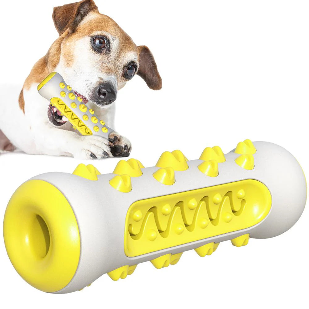 Extra Tough Squeaky Toy