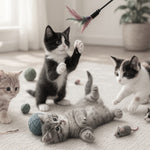 Pet Toy Collection