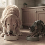 Feeders & Bowls Collection