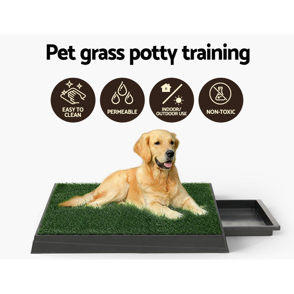 Puppy Toilet Training Pad