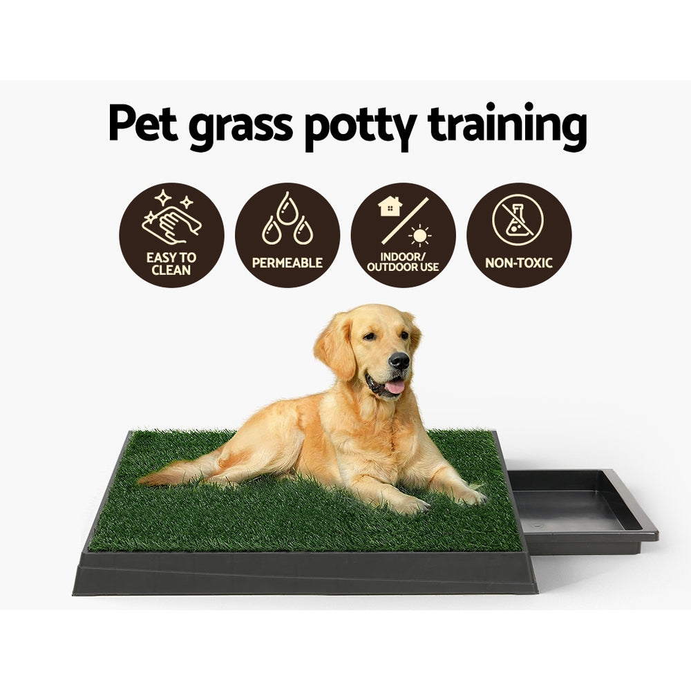 Puppy Toilet Training Pad (with Extra Mat)