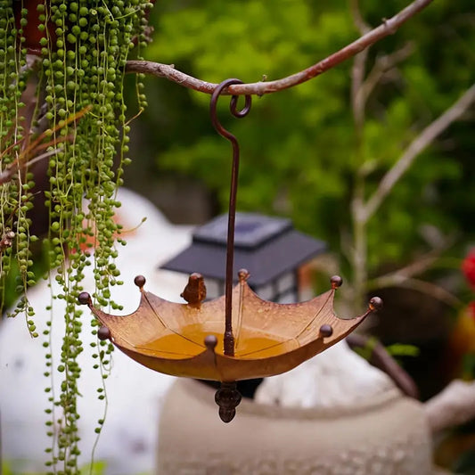 Hanging Bird Feeder