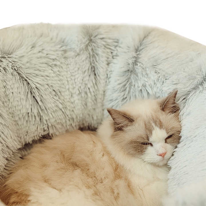 Plush Cat Bed with Hidden Tunnel