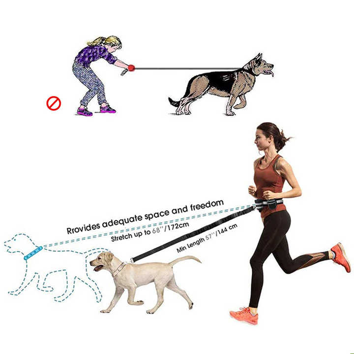 Reflective Waist Bag with Hands-Free Leash