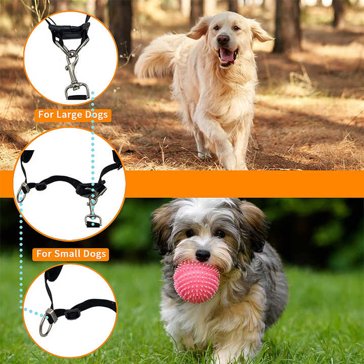 Reflective Waist Bag with Hands-Free Leash