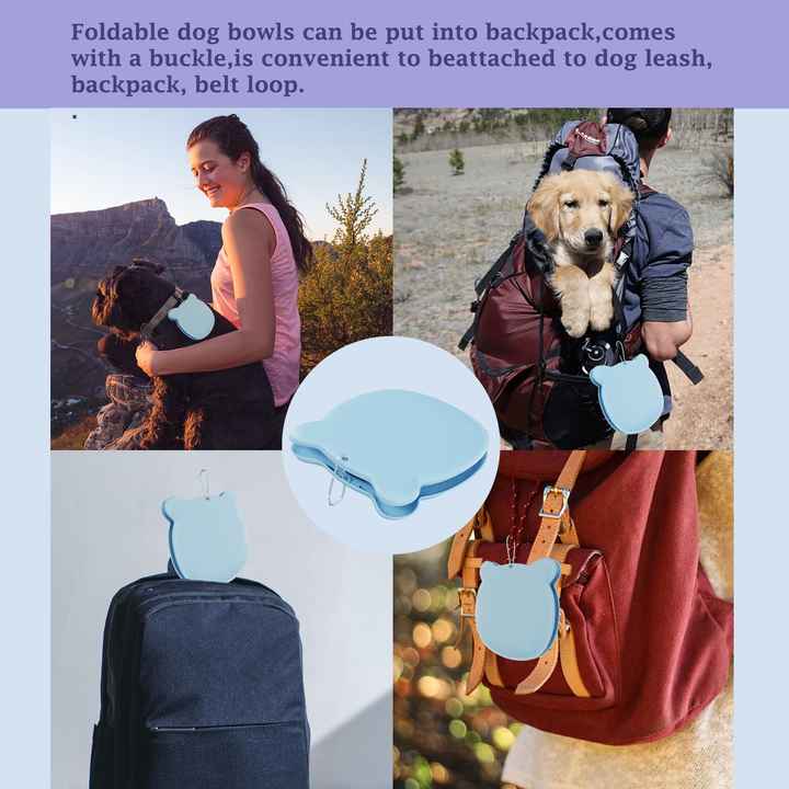 Silicone Pet Bowl Set